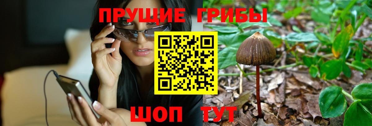 Вятские Поляны  Кокаин  ГАШ  Сколько стоит  Вход с VPN  Гашиш  МАРИХУАНА  МЕФ кристаллы 