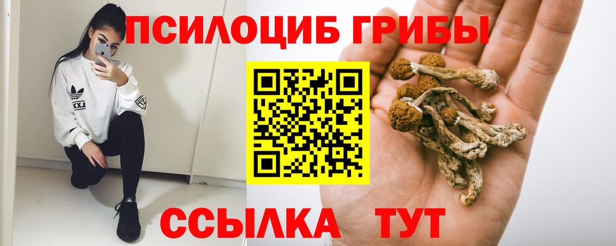 Галлюциногенные грибы мицелий  Псилоцибиновые грибы мухоморы  Вятские Поляны  Вход с VPN 